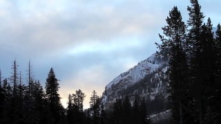 Winter in the Park: Yellowstone Winter Wildlife and Scenery, new 13