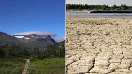 북극에 숲 생기고, 강 말라붙고...절절 끓는 지구촌 / YTN