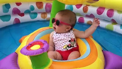 Baby Turtles First Live Shrimp and Minnow!!