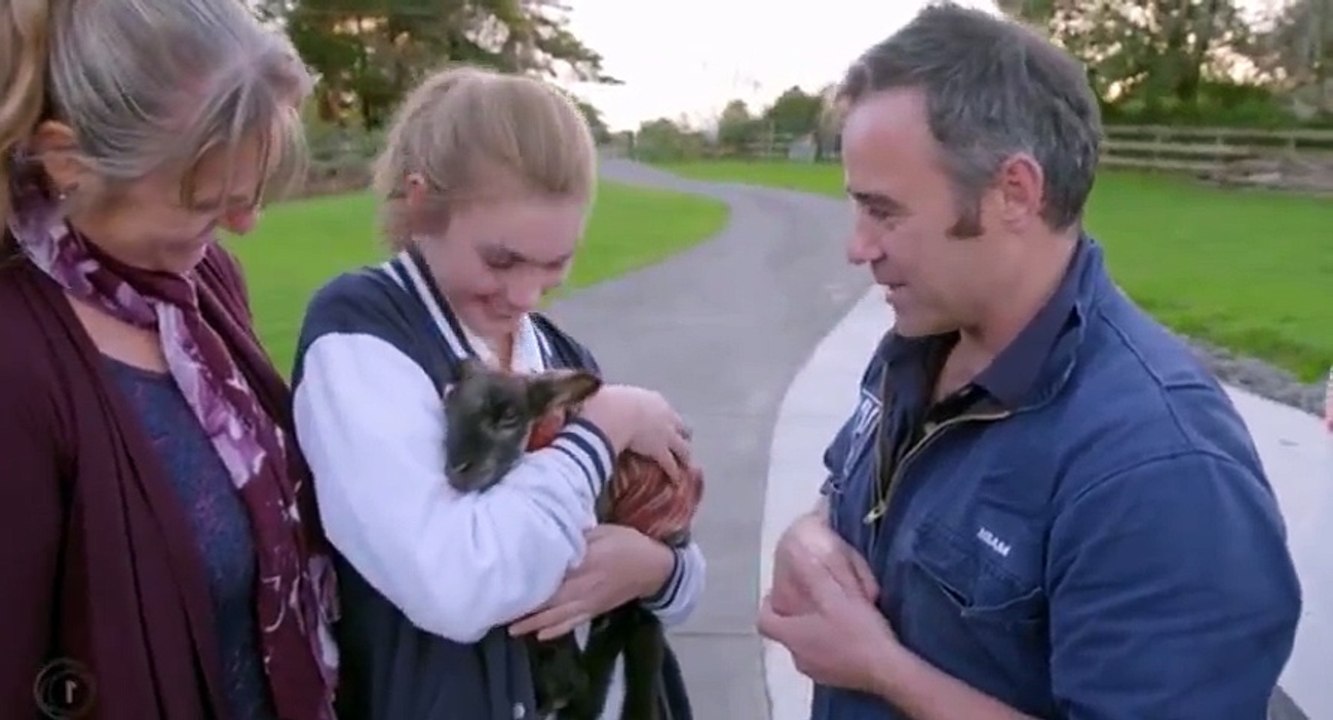 Vet Tales S01 - Ep08  Eight HD Watch