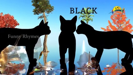 Learn Colors Cats Learning Videos || Learn To Count with Spider Man Numbers 1 to 100