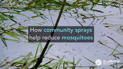 How community sprays help reduce mosquito numbers