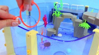 Shopkins Go To Aquarium Playmobil Water Animal Park Toy Video