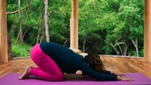 Vinyasa yoga Part 1:  विन्यास योग से शरीर के हर भाग को मिलेगा फायदा, सीखें विन्यास योग । Boldsky