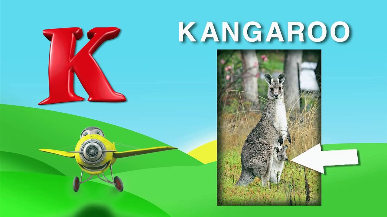 What animals begin with the letters K and L? From I Love My ABCs! Animals on DVD