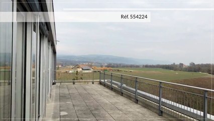 A louer - Commerce - Nyon (1260) - 1 pièce - 203m²
