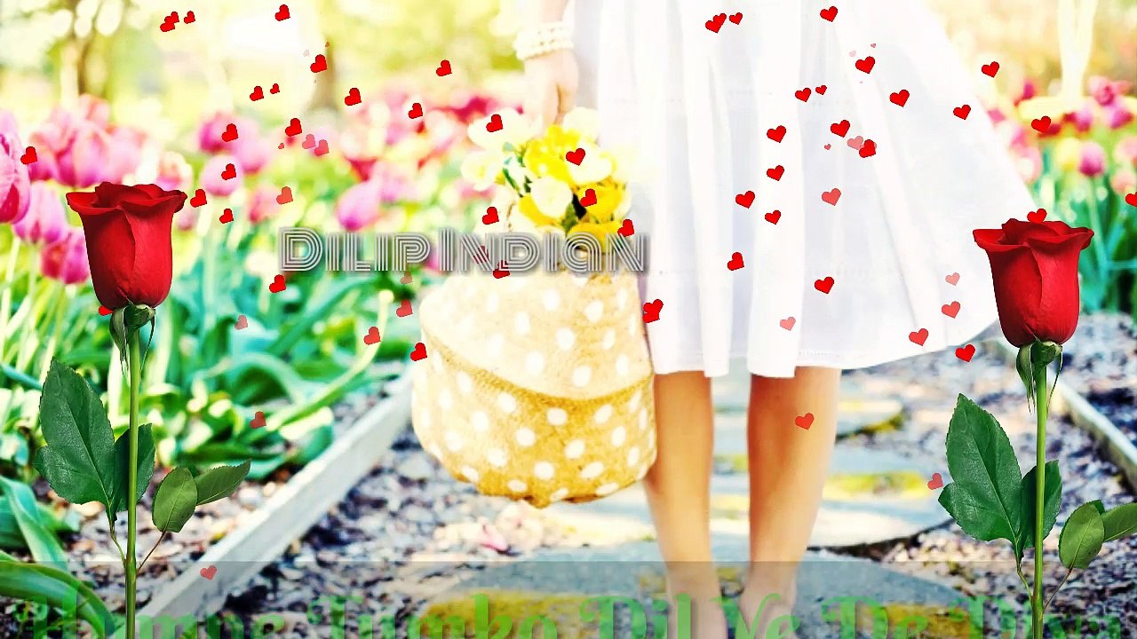 Love whatsapp status video 