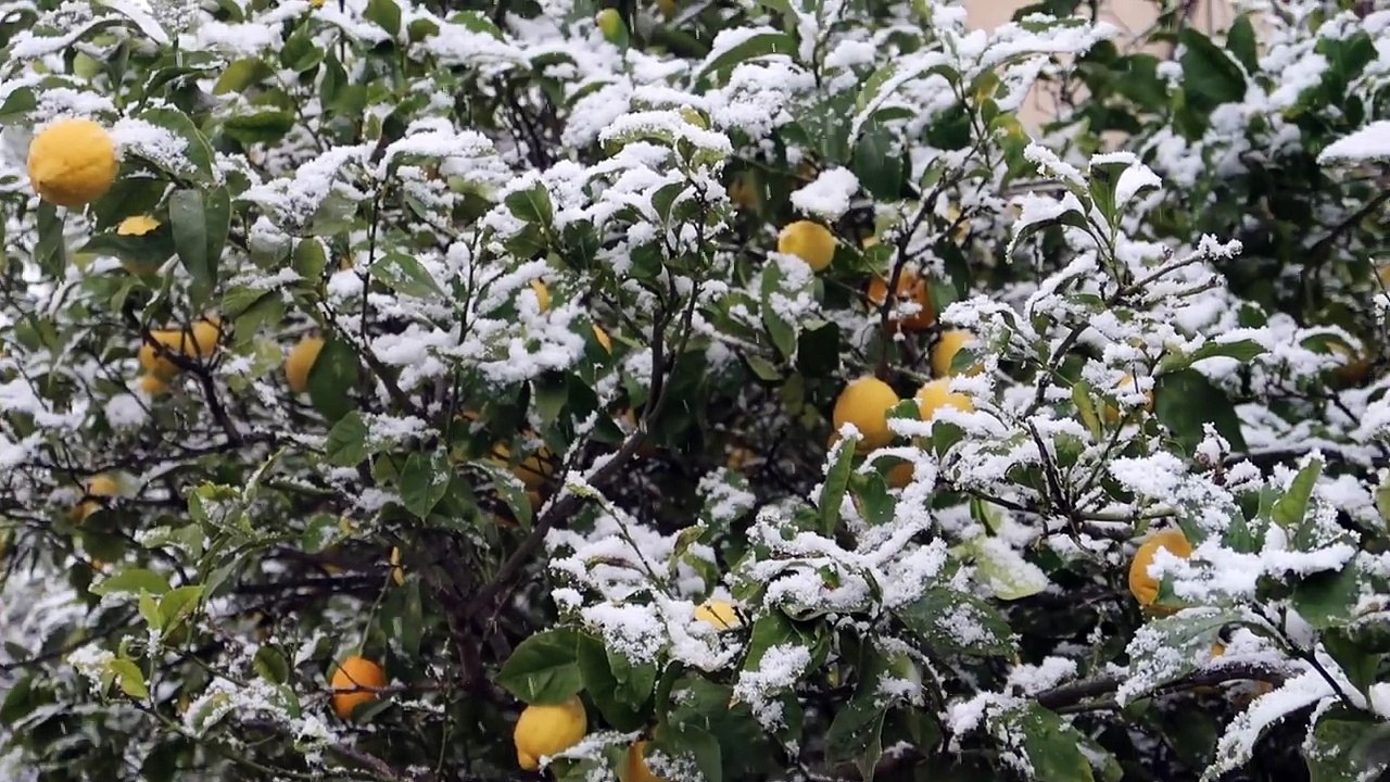 NANA DÉCOUVRE LA NEIGE !