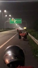 Cướp Giật Giỏ Xách, Hai Vợ Chồng Đi Xe Máy Ngã Sấp Mặt Trên Đường