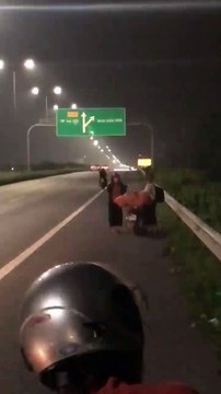 Cướp Giật Giỏ Xách, Hai Vợ Chồng Đi Xe Máy Ngã Sấp Mặt Trên Đường