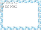 Fennco Styles Plaid Design Throw Blanket in Soft Hues 50 Wx60 L