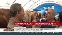 Kurbanlıklar İstanbul'a ulaştı