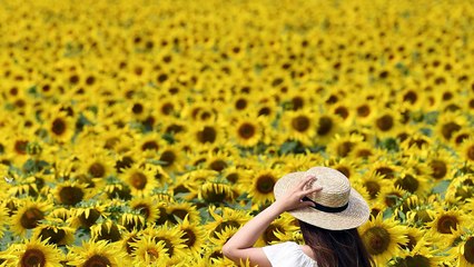 Fin du changement d’heure : le moment est venu de trancher