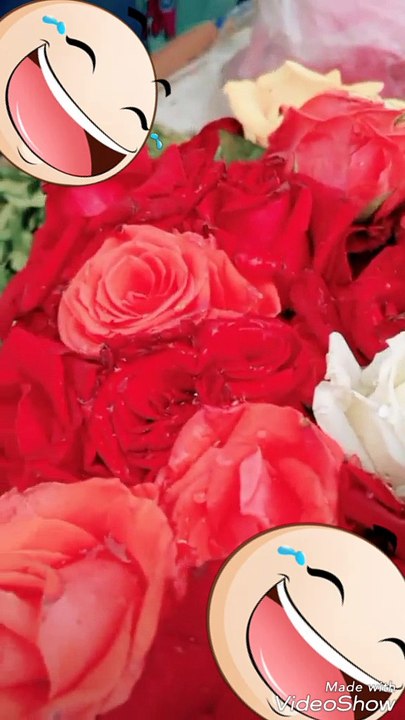 Colourful flowers