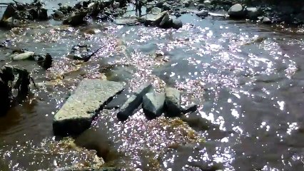 SOS OUED ESSEGHIR ET LE GOLF DE BEJAIA EN DETRESSE