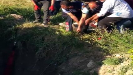Çukura düşen buzağı itfaiye kurtardı