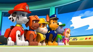 Paw Patrol Coloring Pages ABC Alphabet Song Episode 2 Paw Patrol Cartoon Coloring Book