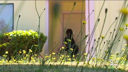 Washington State Law Enforcement Go Door-to-Door Warning About Serial Cat Killer