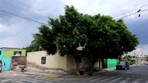 Hallan 10 cadáveres en fosa clandestina en mexicana Guadalajara