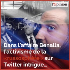 L’affaire Benalla gonflée sur les réseaux par «la russosphère?»