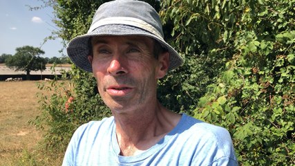 Coup de chaud sur le maïs pour les agriculteurs