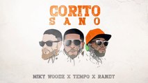 Tempo X Miky Woodz & Randy - Corito Sano [Official Audio]