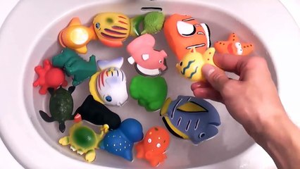 Sea Dinosaurs Finger Family Nursery Rhyme | Learn Sea Animals Names and Sounds For Kids Fi