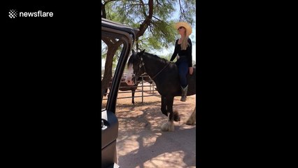 Woman rises to In My Feelings challenge ... on horseback