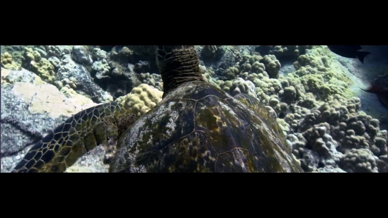 BBC South Pacific Episode 3 - Endless Blue