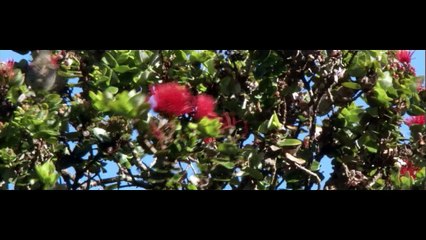 BBC South Pacific Episode 4 - Ocean of Volcanoes