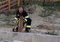 Colorado Firefighters Rescue Young Deer Trapped in Home Foundation