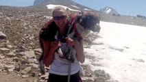 Hiker Adopts Injured Dog She Carried Down 11,000-Ft Mountain