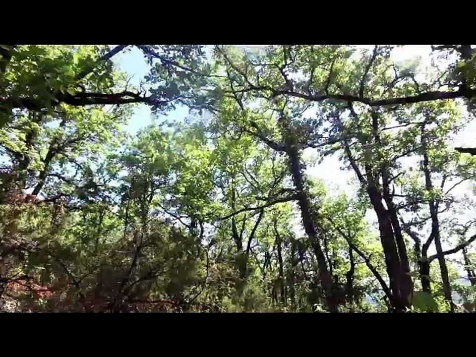 rando du 29 07 2018