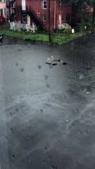Parking Lot Pool