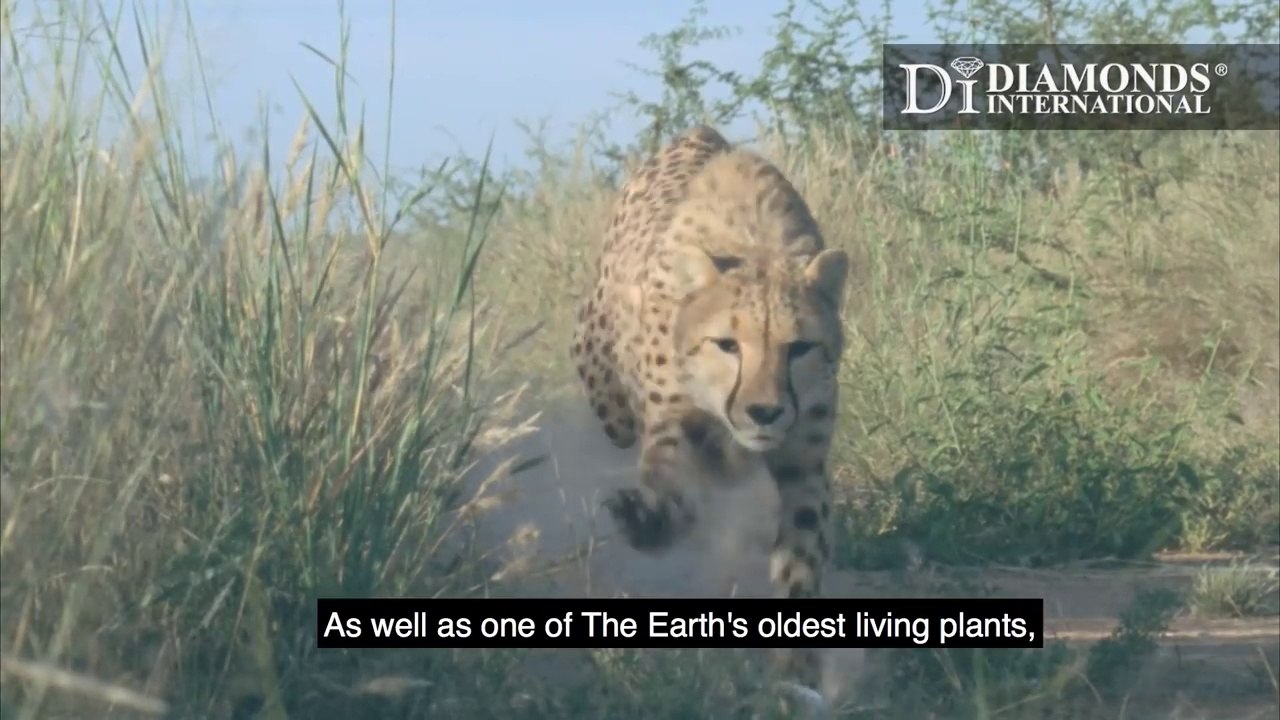 Diamonds International Introduces: Namibia, The...