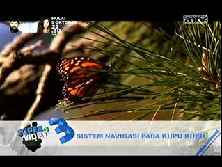 5 Fenomena Misterius yang Belum Terjawab Sains