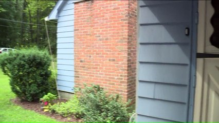 Woman Wakes Up to Find Black Bear in Her Home