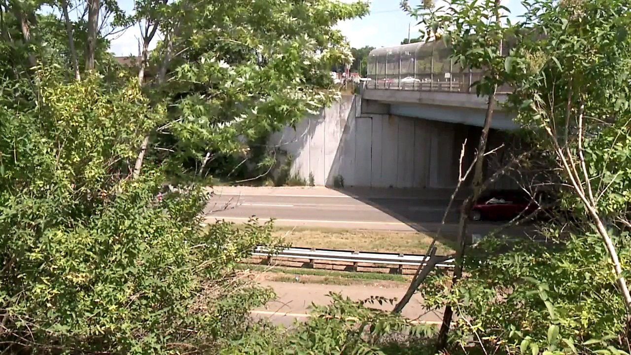 Police Officer Helps Stop Suicidal Man from Jumping Off Bridge