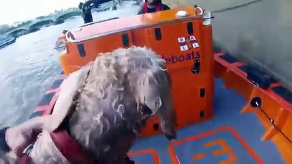 Jovem se lança ao rio para salvar cachorro