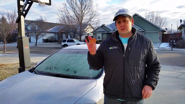 Laminate Samples Being Put to Good Use - Matt Capell of Capell Flooring