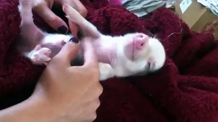 doc_2018-08-04_05-00-01