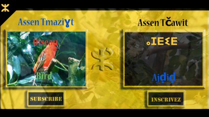 Video-2- Les animeaux en chawi Tamazigh Animal in Tamazigh-Iɣersiwen-Assen Tmaziɣt