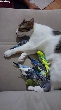 Sometimes the most unlikely friendships are the best friendships