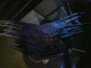 Duke Nukem Forever Teaser (Trailer)