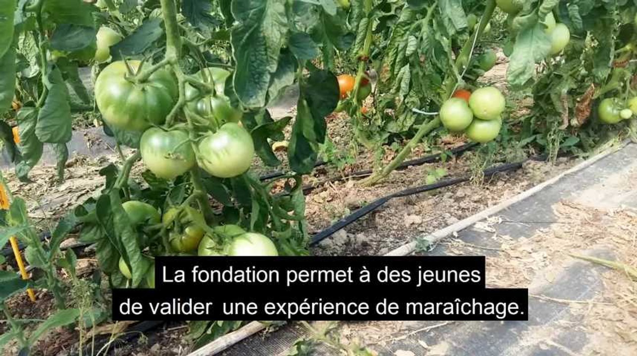 Teaser : Générations bio A la Ferme du Petit Sart, on couve les jeunes maraîchers bio - INSPIRE