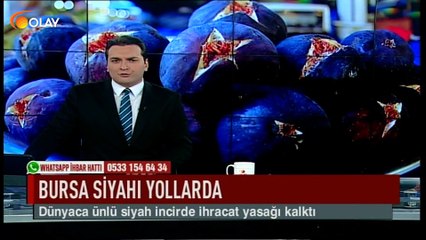 Bursa siyahı yollarda