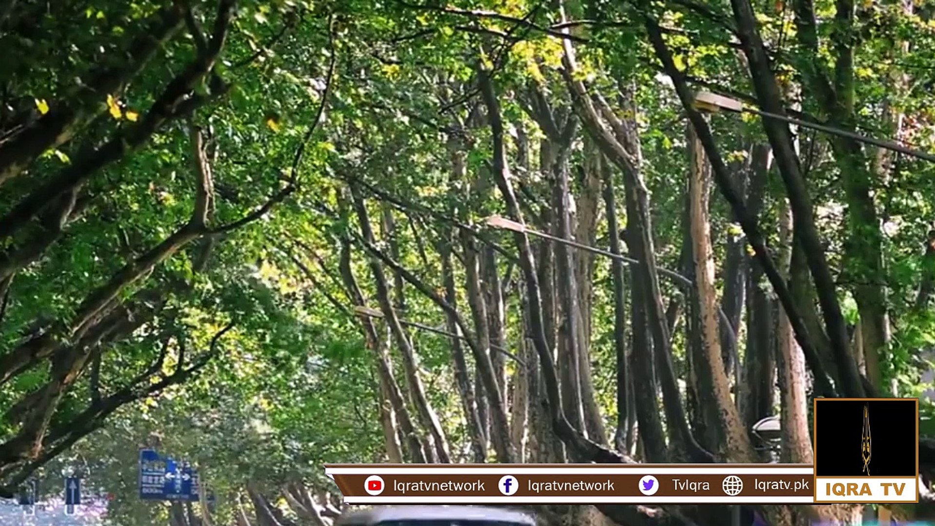 Being a Pakistani | Buy Pakistani Products