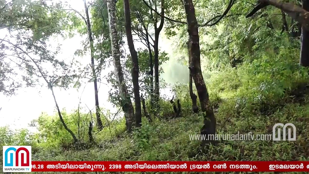 Heavy rain in Kerala I Idukki dam