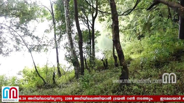 Heavy rain in Kerala I Idukki dam