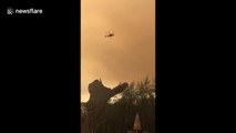 Helicopter fights Mendocino Complex fire, now largest in California history